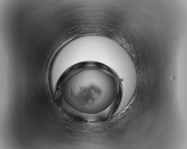 X0000094180146200711091148