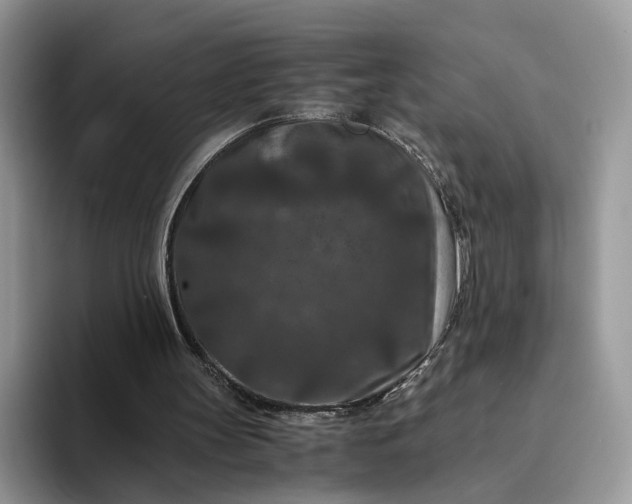 X0000094180147200711091148