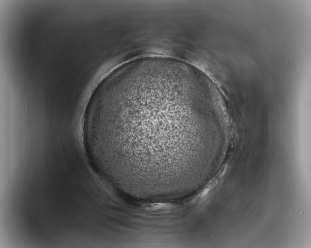 X0000094180151200711091149