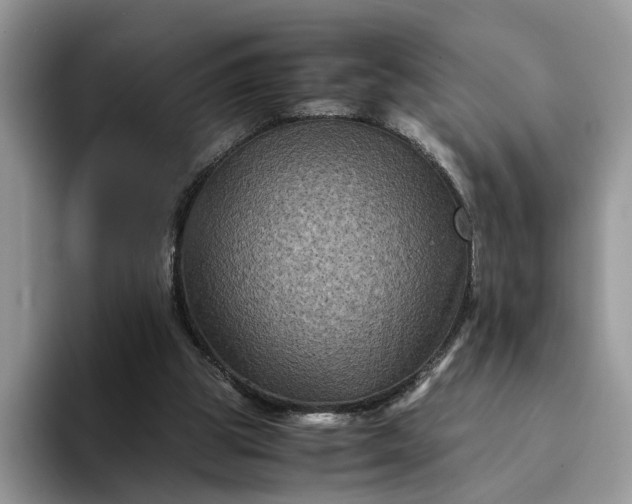X0000094180153200711091149