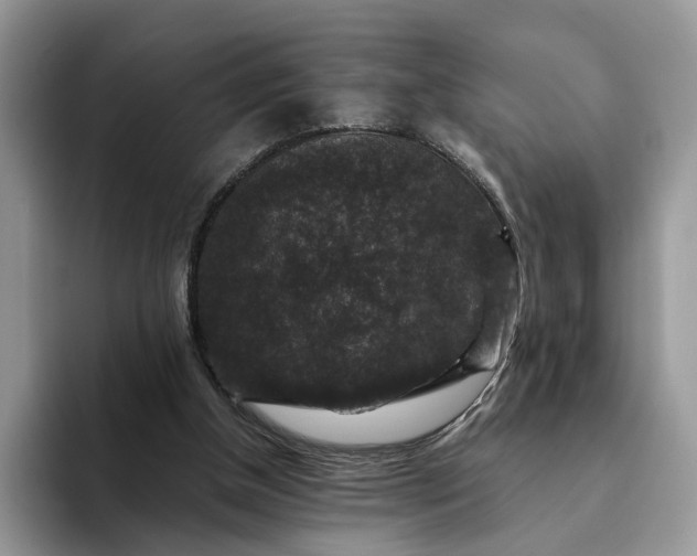 X0000094180154200711091149