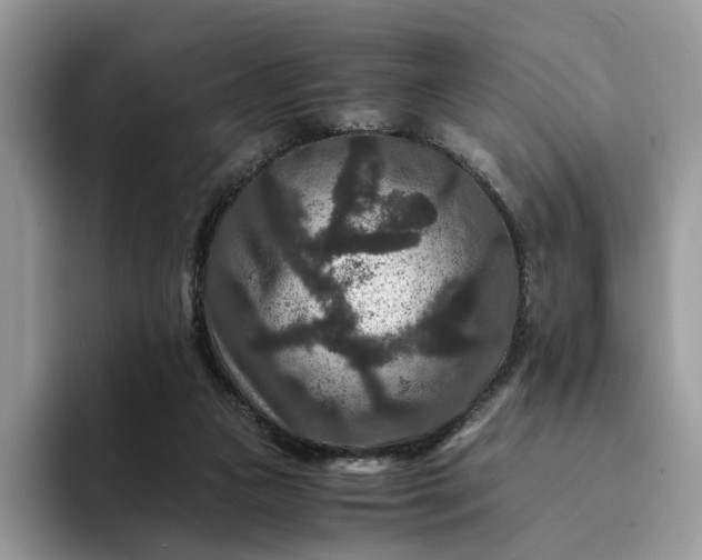 X0000094180161200711091149