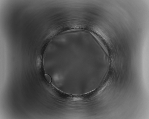 X0000094180165200711091149