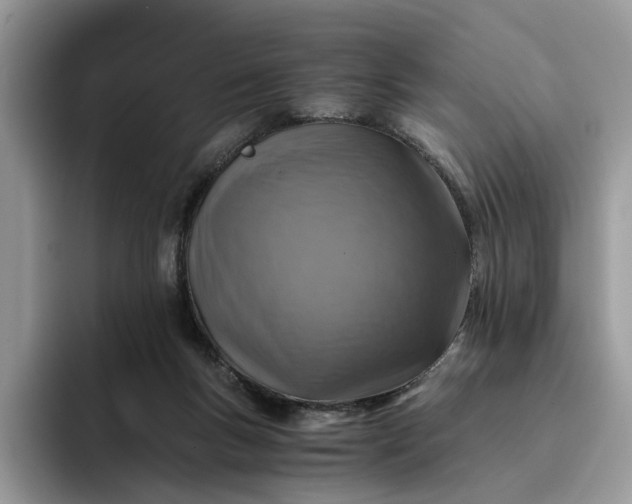 X0000094180167200711091149