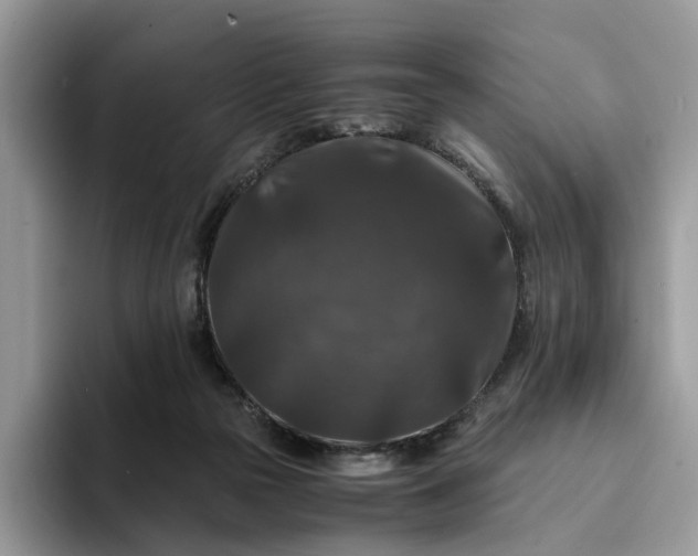 X0000094180169200711091149