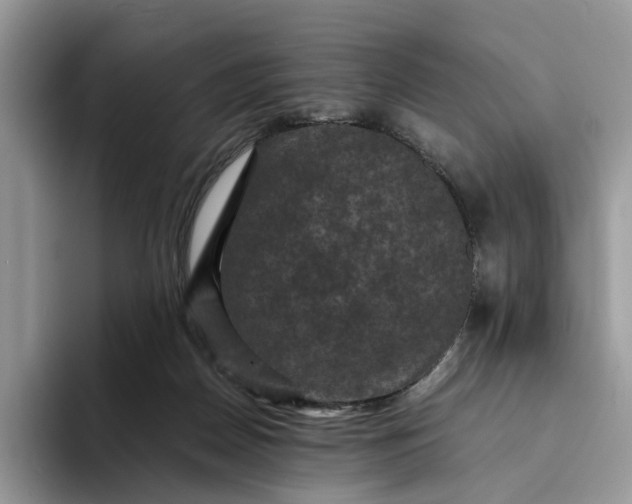 X0000094180170200711091149