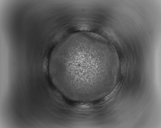 X0000094180175200711091149