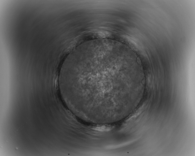 X0000094180177200711091149
