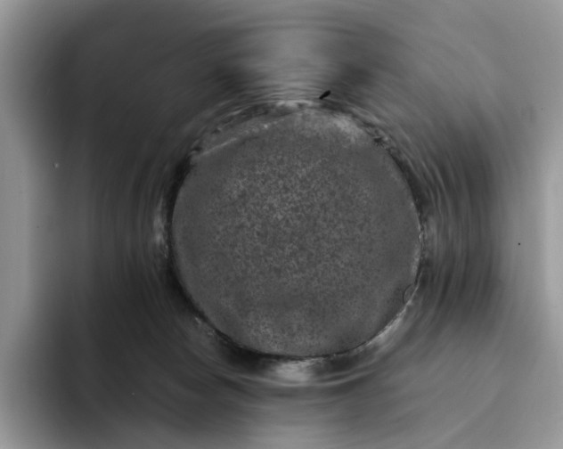 X0000094180178200711091149