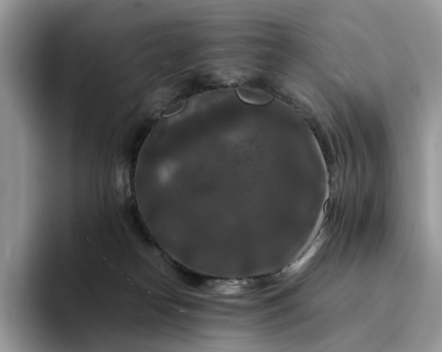 X0000094180182200711091149
