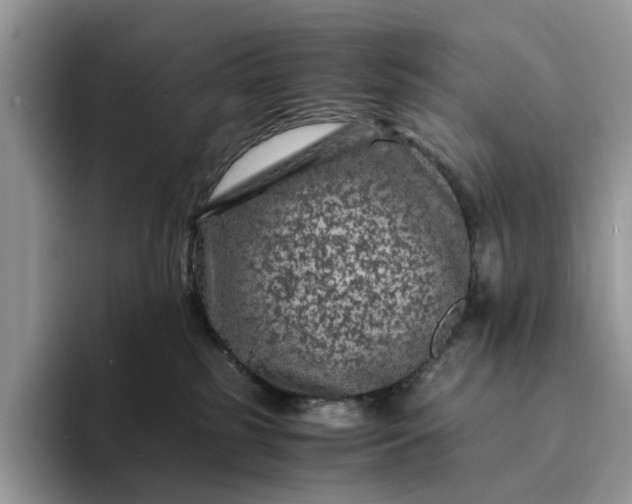 X0000094180185200711091149