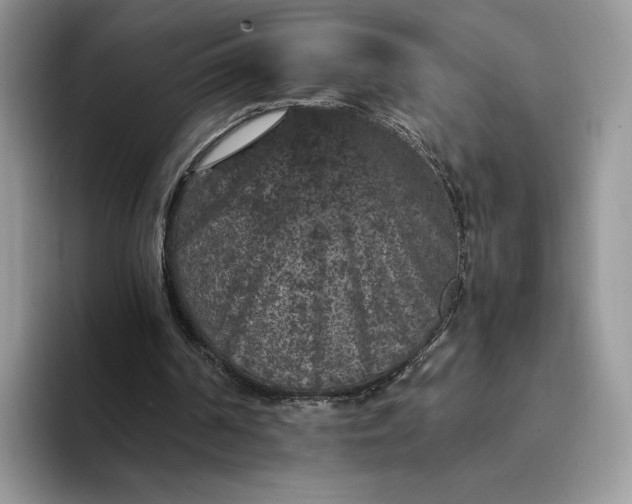X0000094180194200711091148
