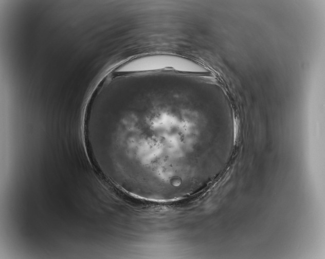 X0000094180195200711091148