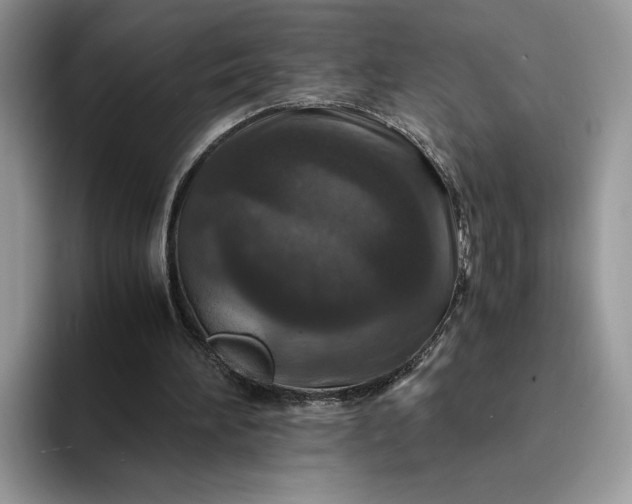 X0000094180196200711091148