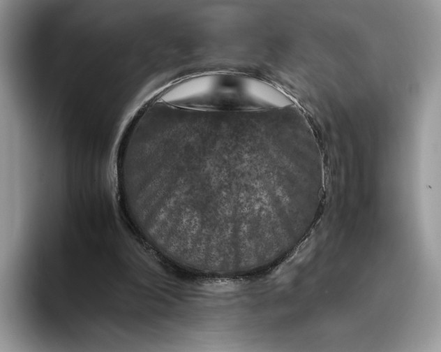X0000094180198200711091148