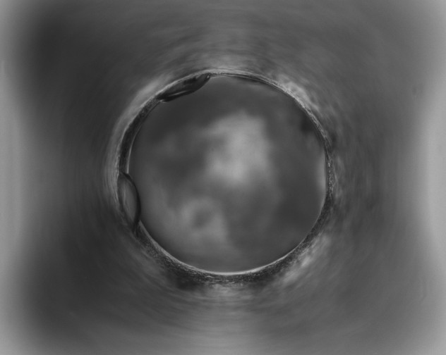 X0000094180199200711091148