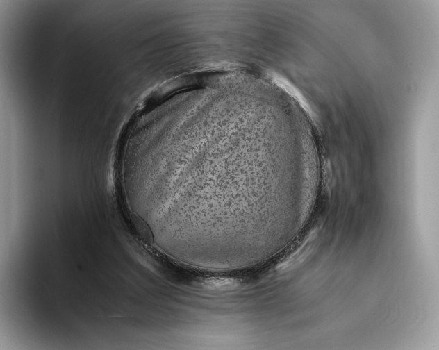 X0000094180203200711091148