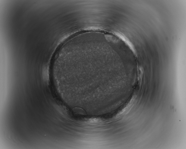 X0000094180204200711091148