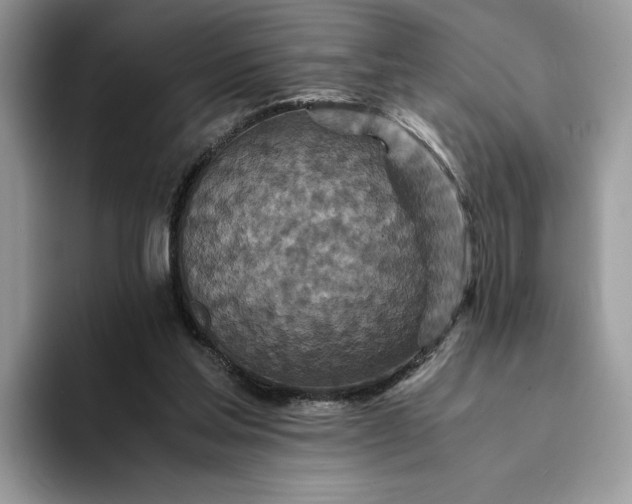 X0000094180205200711091148