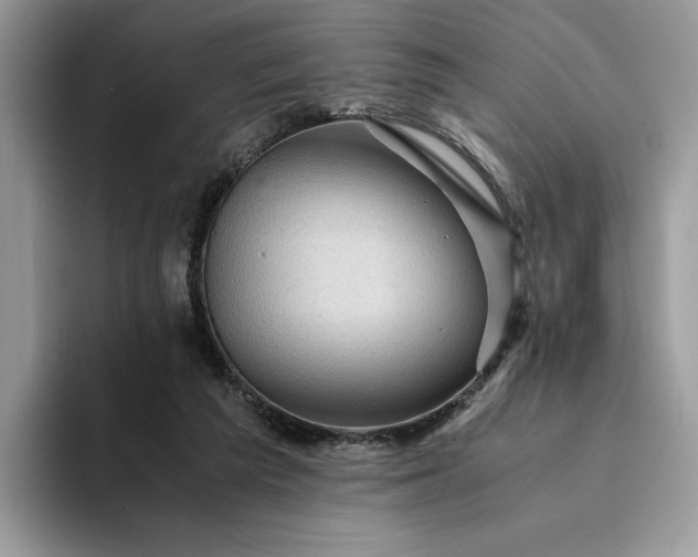 X0000094180209200711091148
