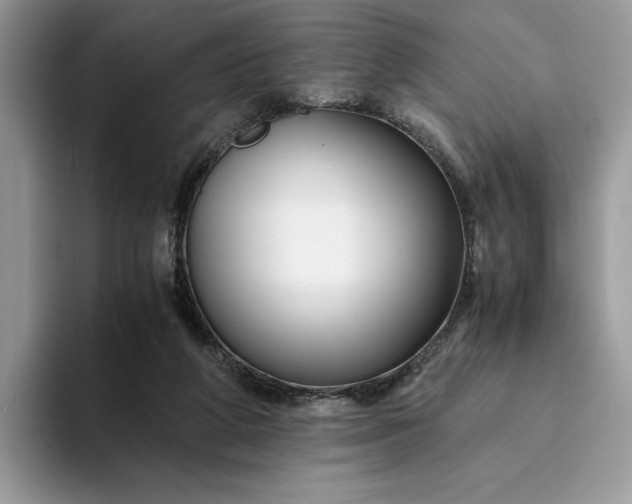 X0000094180210200711091148