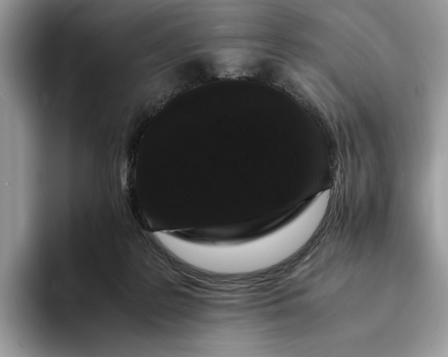 X0000094180219200711091148