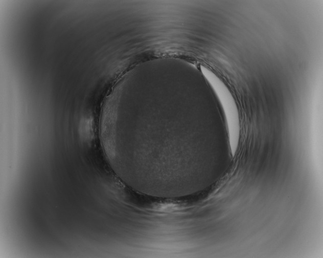 X0000094180224200711091148
