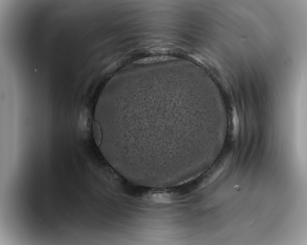 X0000094180228200711091148
