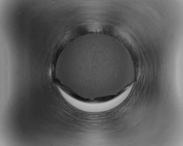 X0000094180229200711091148