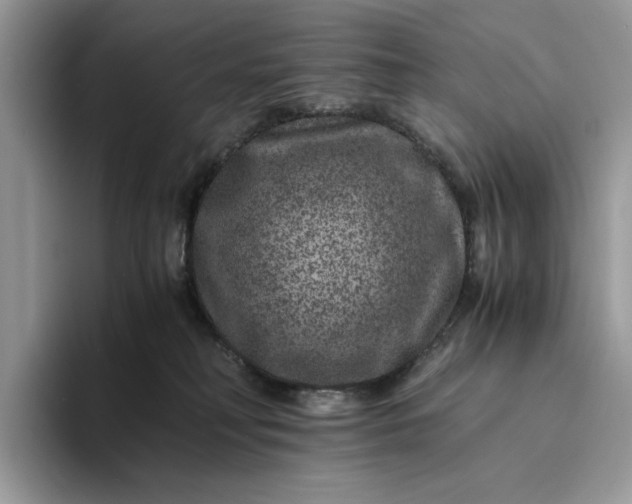 X0000094180230200711091148