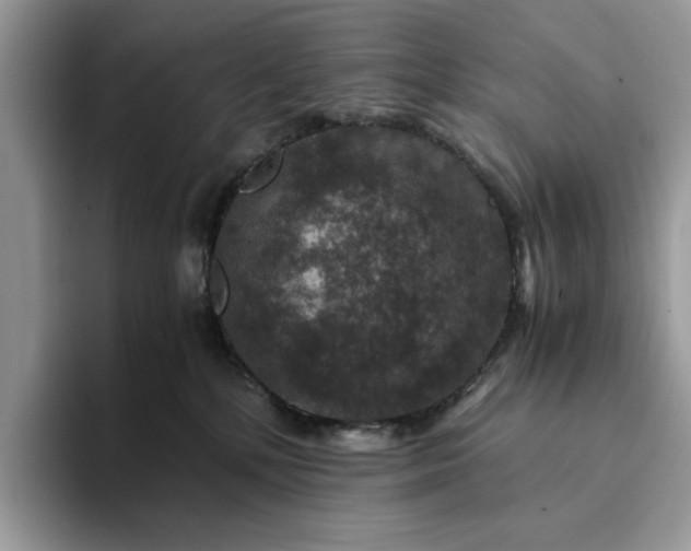 X0000094180232200711091148