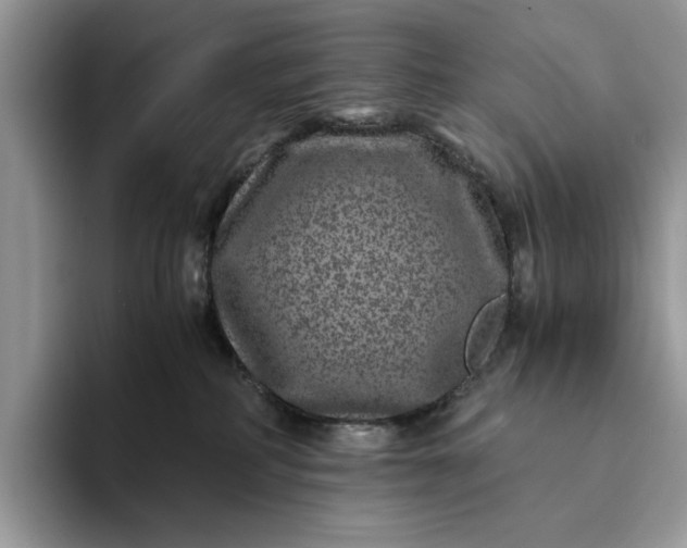 X0000094180234200711091148