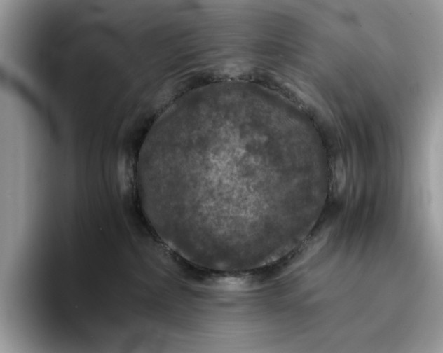 X0000094180236200711091148