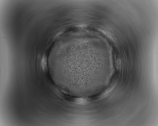 X0000094180238200711091148