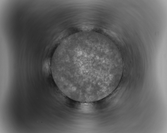 X0000094180240200711091148