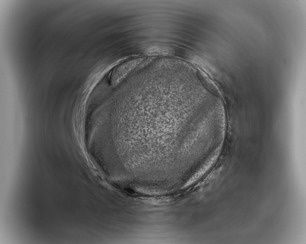 X0000094180241200711091147
