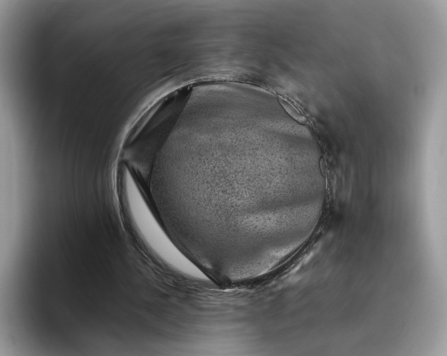 X0000094180244200711091147