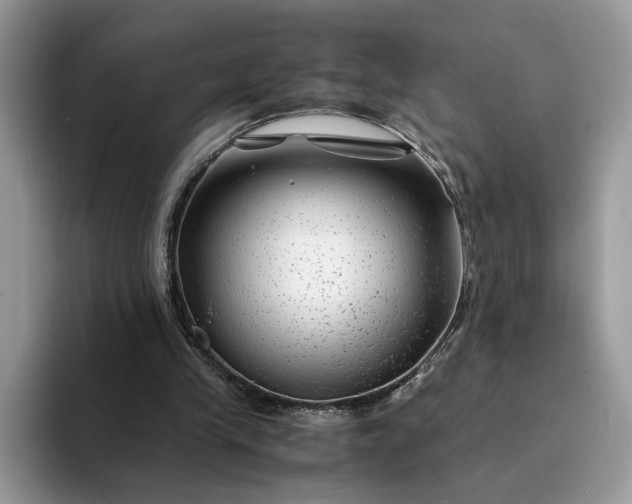 X0000094180245200711091147