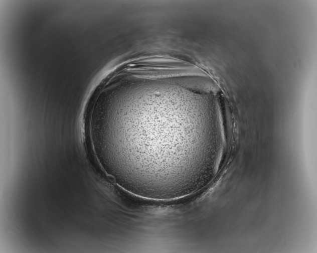 X0000094180246200711091147