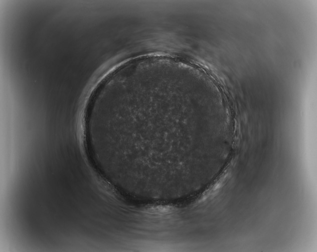 X0000094180247200711091147