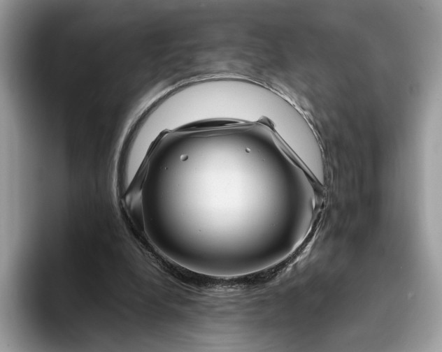 X0000094180248200711091147