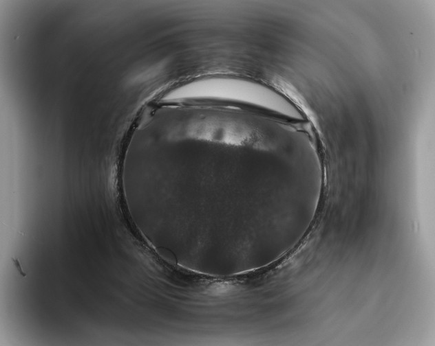X0000094180249200711091147