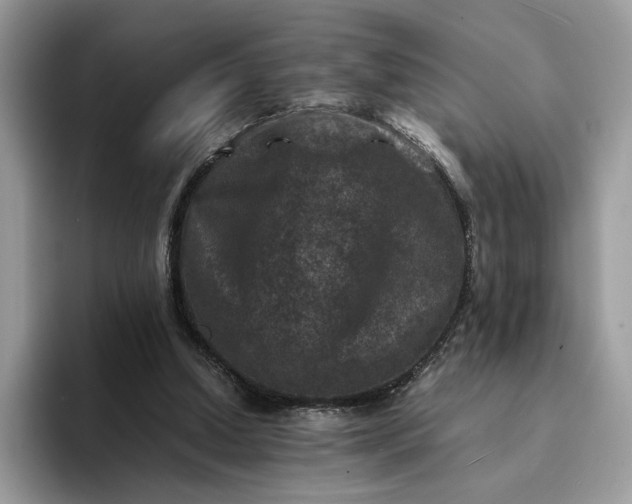 X0000094180250200711091147