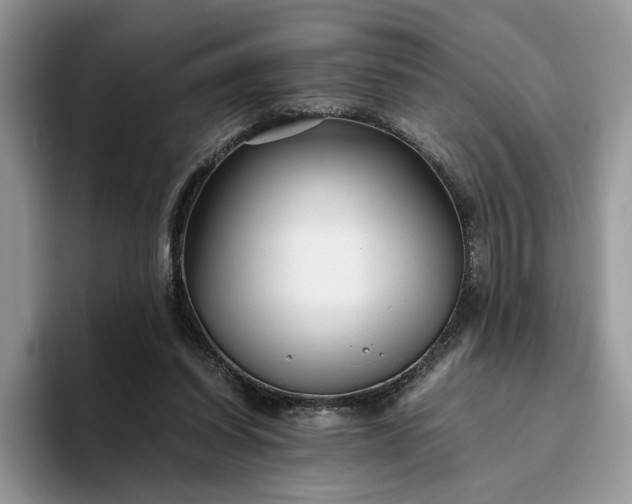 X0000094180254200711091147