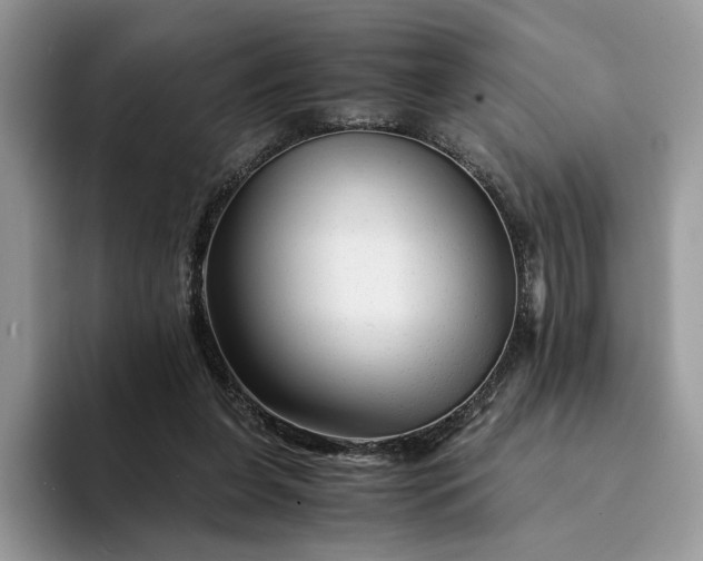 X0000094180255200711091147