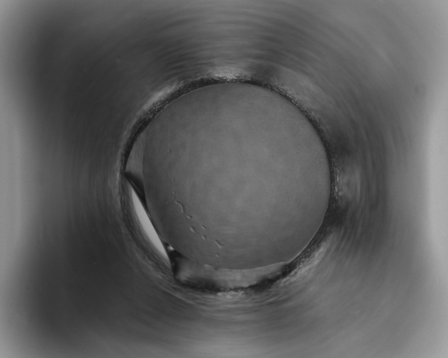 X0000094180256200711091147