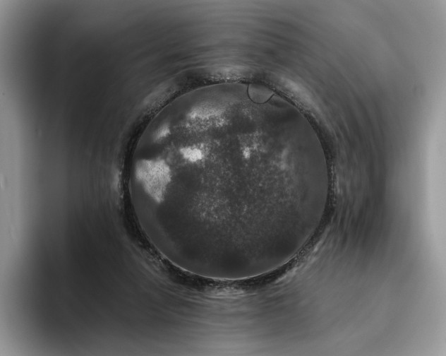 X0000094180258200711091147