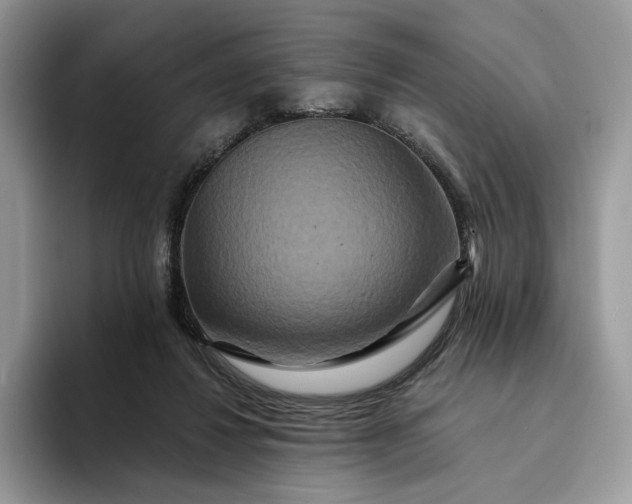 X0000094180260200711091147