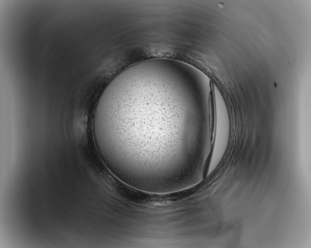 X0000094180263200711091147