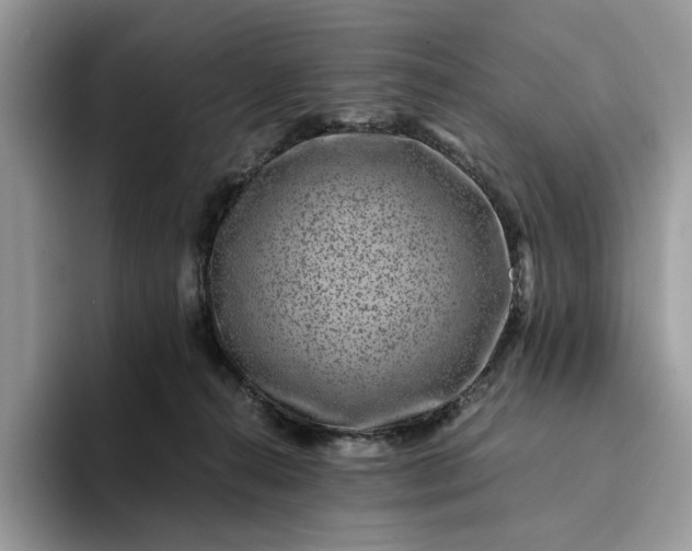 X0000094180272200711091148